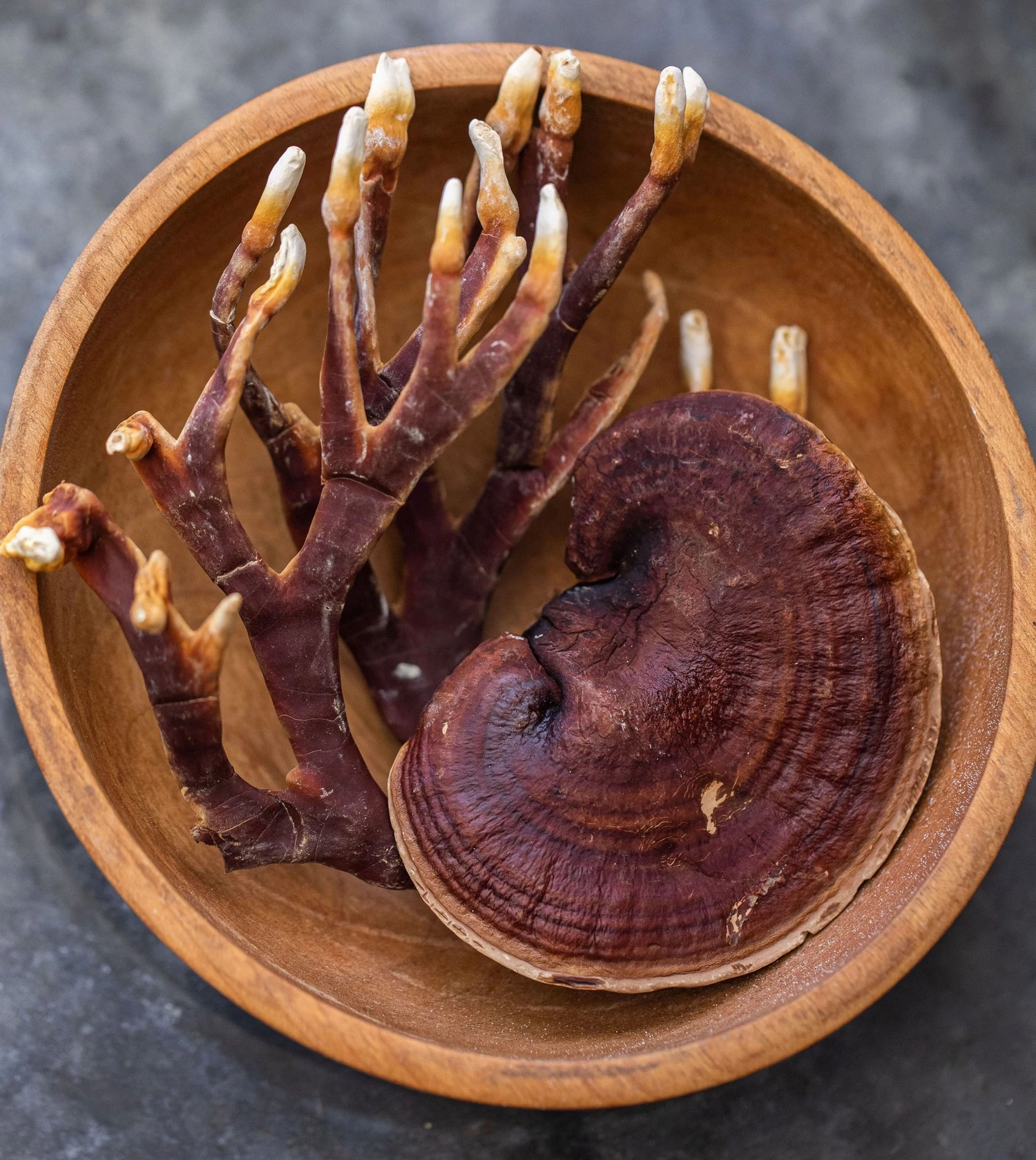 Reishi paddenstoel superfood